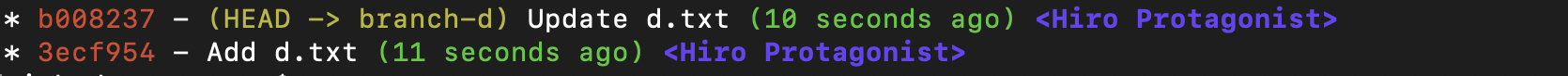 git log output showing the two commits on branch d